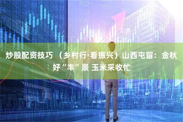 炒股配资技巧 （乡村行·看振兴）山西屯留：金秋好“丰”景 玉米采收忙